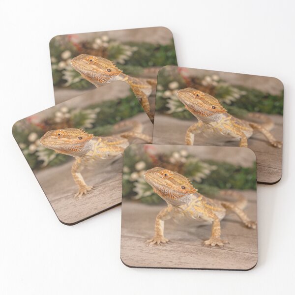 Item preview, Dragón barbudo posando muy bien designed and sold by PTPhotoLLC.