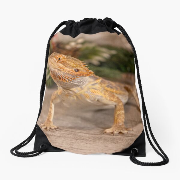 Item preview, Bearded Dragon posing nicely designed and sold by PTPhotoLLC.