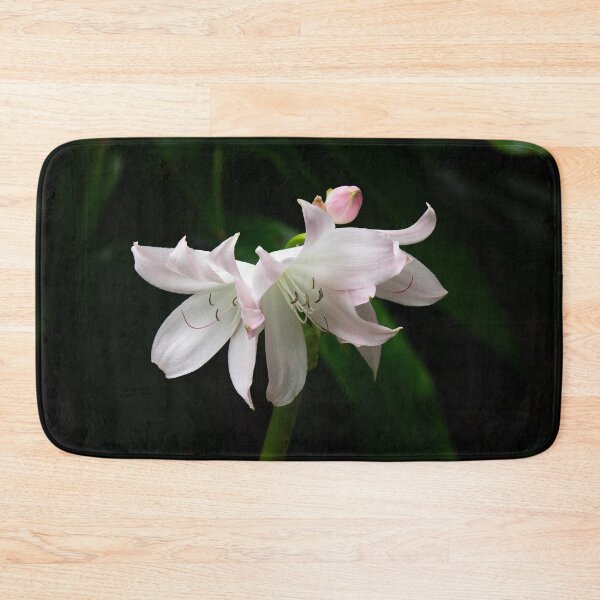 Item preview, Lily at Jose Do Canto Botanical Garden designed and sold by Kathy Weaver.