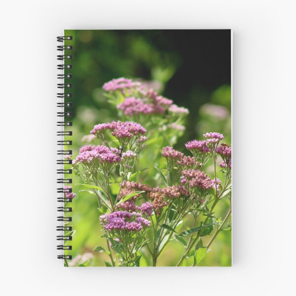 Artikelvorschau, Wildblumen entworfen und verkauft von Jmb67.