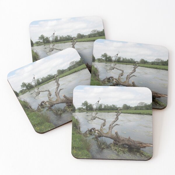 Item preview, Fallen Tree with River Water-Crowfoot in the River Teifi designed and sold by Kate Anderson Art.