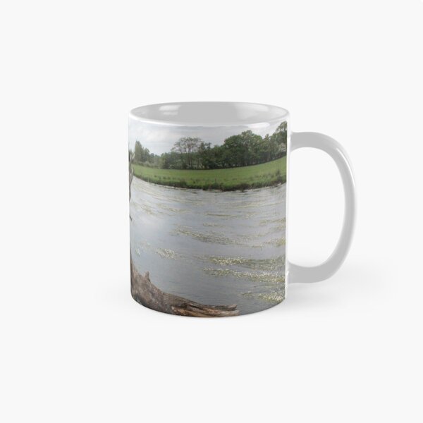 Item preview, Fallen Tree with River Water-Crowfoot in the River Teifi designed and sold by Kate Anderson Art.