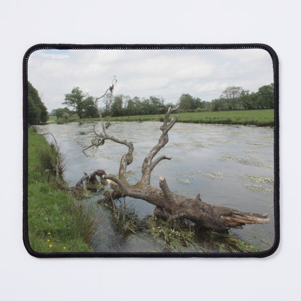 Item preview, Fallen Tree with River Water-Crowfoot in the River Teifi designed and sold by Kate Anderson Art.