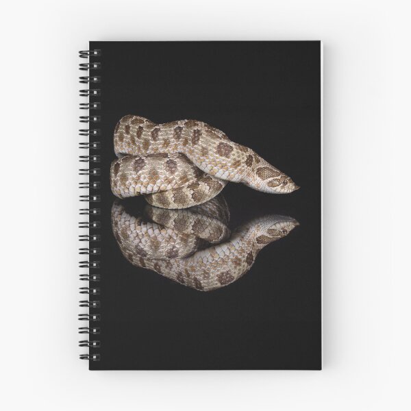 Item preview, Hognose snake with reflection  designed and sold by PTPhotoLLC.