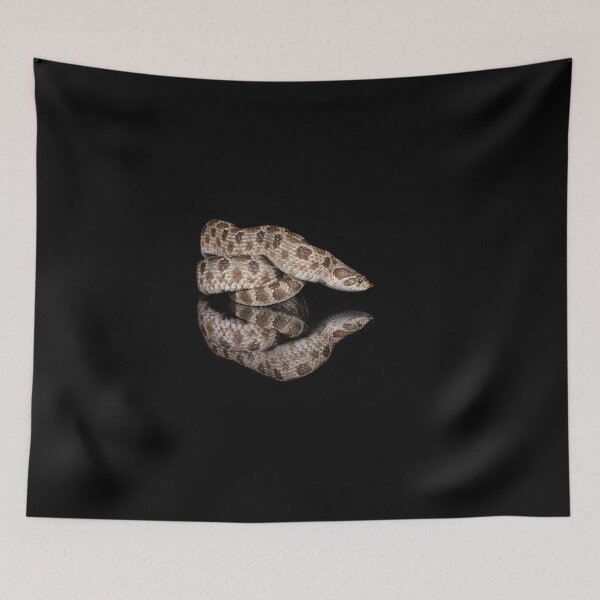 Item preview, Hognose snake with reflection  designed and sold by PTPhotoLLC.
