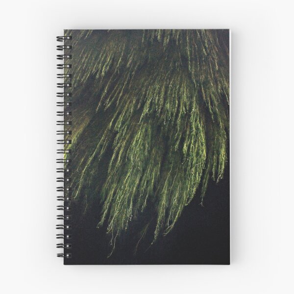 Item preview, River Teifi, River Water-Crowfoot - Ranunculus Fluitans designed and sold by Kate Anderson Art.