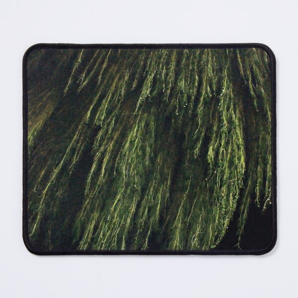 Item preview, River Teifi, River Water-Crowfoot - Ranunculus Fluitans designed and sold by Kate Anderson Art.