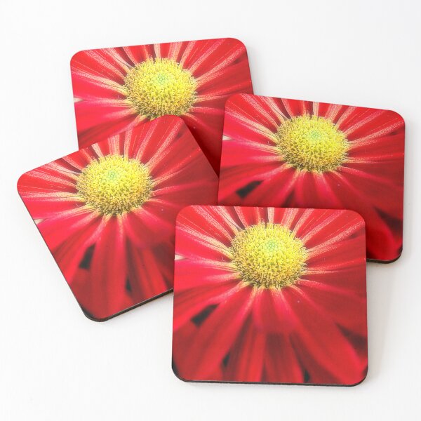 Item preview, Vivid Red Pansy – Close-Up Floral Photography designed and sold by SL Timeless Moments .