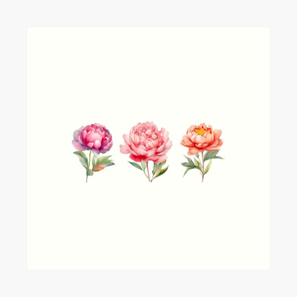 Item preview, Three Beautiful Peony Flowers designed and sold by imemilia5.