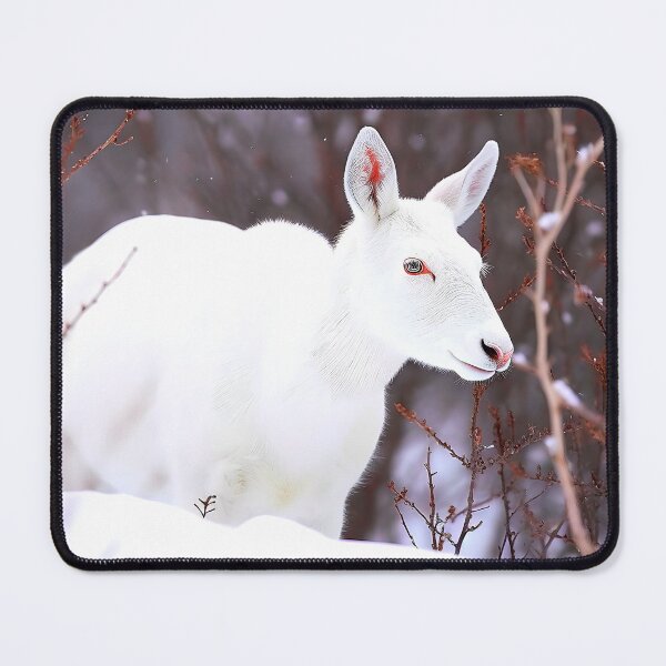 Item preview, White Animal Playing in the Snow designed and sold by ArtbyJustis.