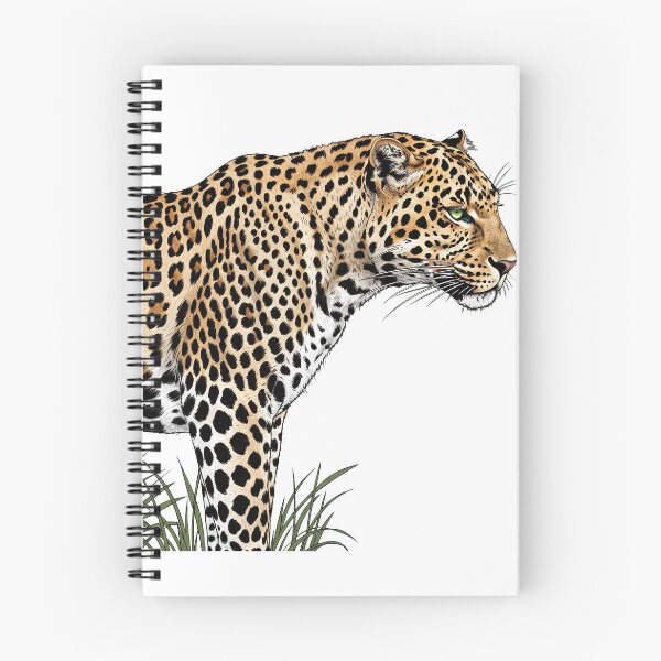 Item preview, Illustration of a leopard in profile designed and sold by leilazarus.