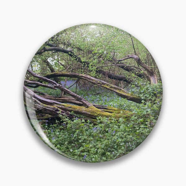 Item preview, Old Sulehay Forest, Yarwell, Northamptonshire, UK designed and sold by Kate Anderson Art.
