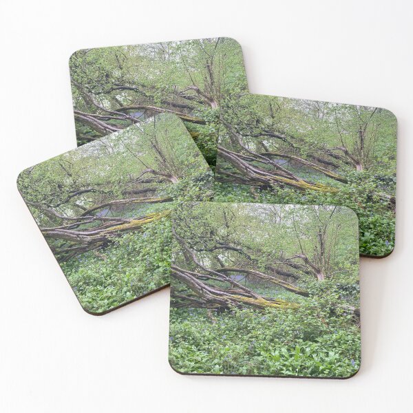 Item preview, Old Sulehay Forest, Yarwell, Northamptonshire, UK designed and sold by Kate Anderson Art.