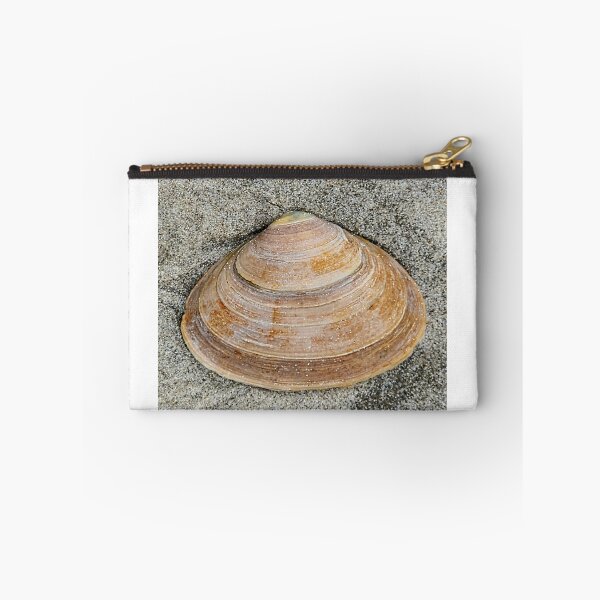 Item preview, Shell photograph that I took designed and sold by Raineylanes.