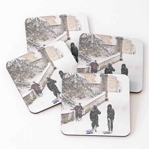 Item preview, Sledging by the Park designed and sold by Murph's Images.