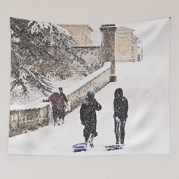 Item preview, Sledging by the Park designed and sold by Murph's Images.