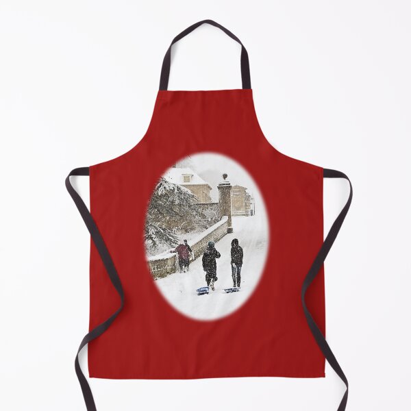 Item preview, Sledging by the Park designed and sold by Murph's Images.