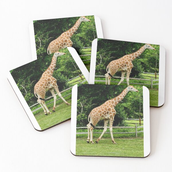 Item preview, Beautiful giraffe photograph designed and sold by Raineylanes.