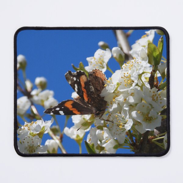 Item preview, A late spring visitor designed and sold by WonderlandGlass.