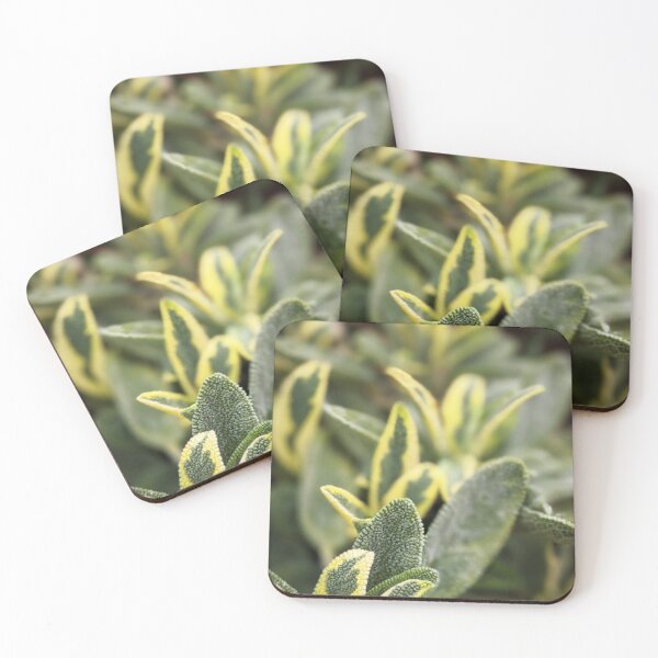 Item preview, White Mountain Sage designed and sold by Tracy Engle.