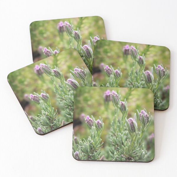 Item preview, Spanish Lavender  designed and sold by Tracy Engle.