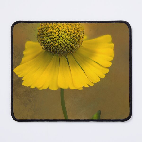 Item preview, Coneflower, Yellow Coneflower, Picture Print, Home Decor, Wall Art designed and sold by MonicPhotoMonic.