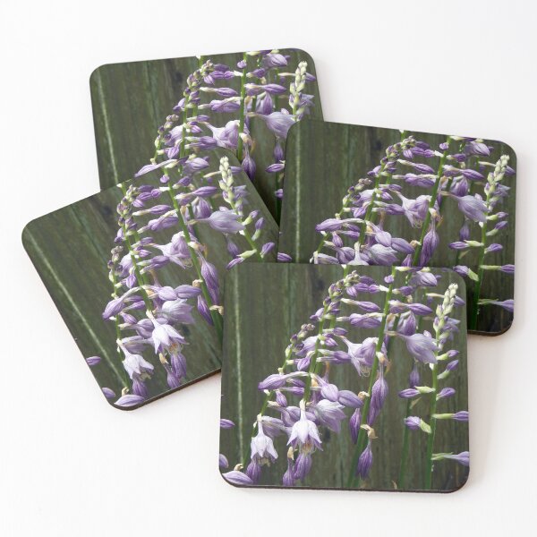 Item preview, Hosta Patch designed and sold by gistinker.