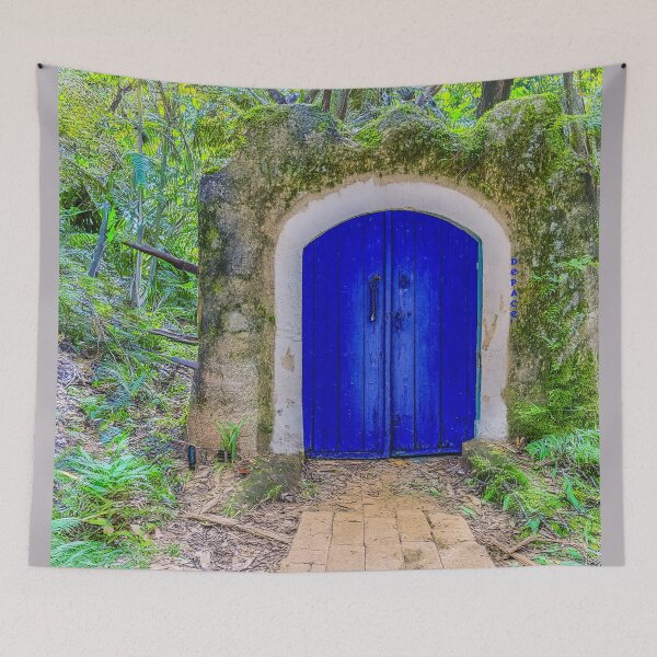 Item preview, Old Blue Wooden Door at the Edge of a Strange Forest - dePace' designed and sold by mrpropcake.