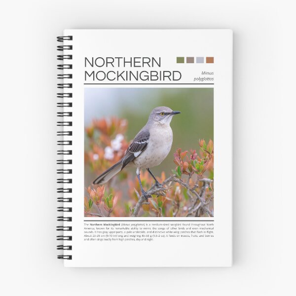 Item preview, Northern Mockingbird  designed and sold by StudioRedKoala.