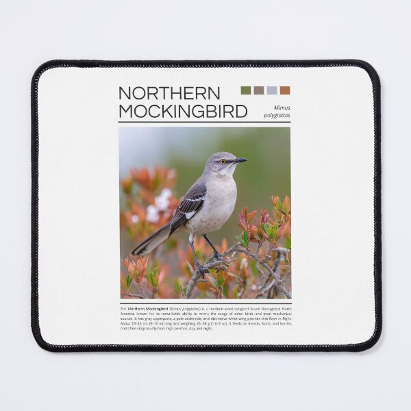 Item preview, Northern Mockingbird  designed and sold by StudioRedKoala.