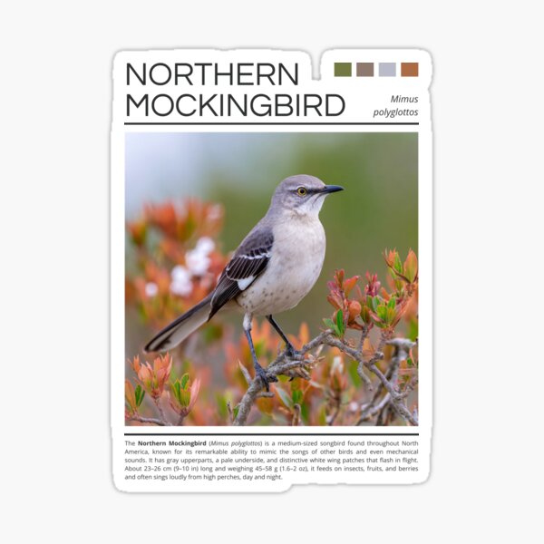 Item preview, Northern Mockingbird  designed and sold by StudioRedKoala.