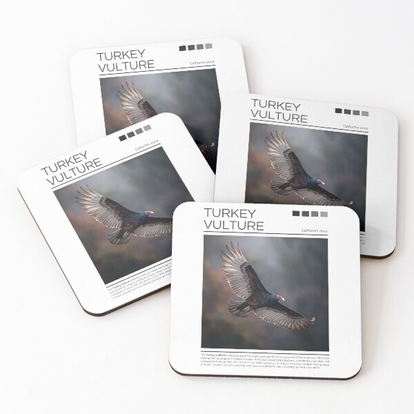 Item preview, Turkey Vulture designed and sold by StudioRedKoala.