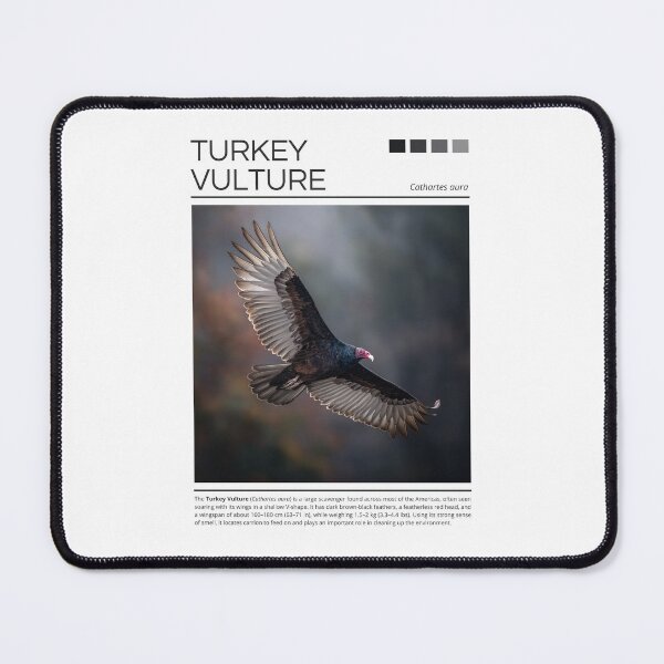 Item preview, Turkey Vulture designed and sold by StudioRedKoala.
