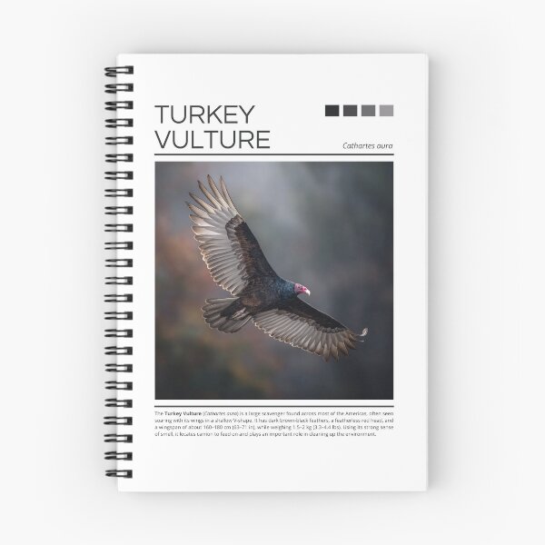 Item preview, Turkey Vulture designed and sold by StudioRedKoala.