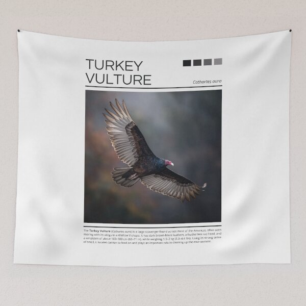 Item preview, Turkey Vulture designed and sold by StudioRedKoala.