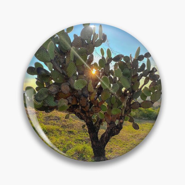 Item preview, Oaxaca Cactus designed and sold by FrankEvansPix.