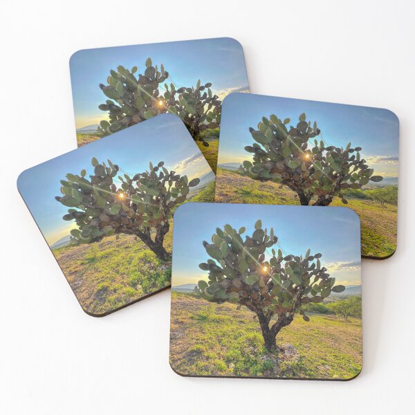 Item preview, Oaxaca Cactus designed and sold by FrankEvansPix.