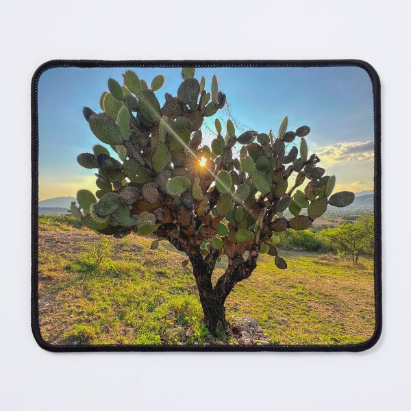 Item preview, Oaxaca Cactus designed and sold by FrankEvansPix.