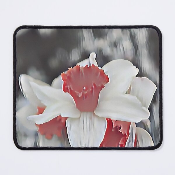 Item preview, 1 Radiant Daffodil Bloom ? | Red-Centered Flower Art for Nature Lovers designed and sold by POETTICA.