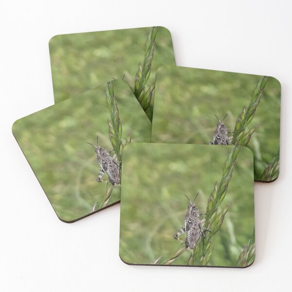 Item preview, Saltamontes designed and sold by Betsy Phillips.