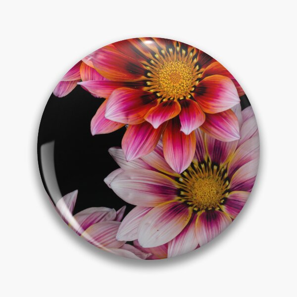 Item preview, Gazania designed and sold by Steven Weeks.