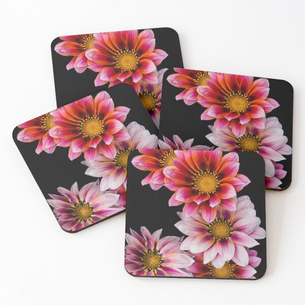 Item preview, Gazania designed and sold by Steven Weeks.
