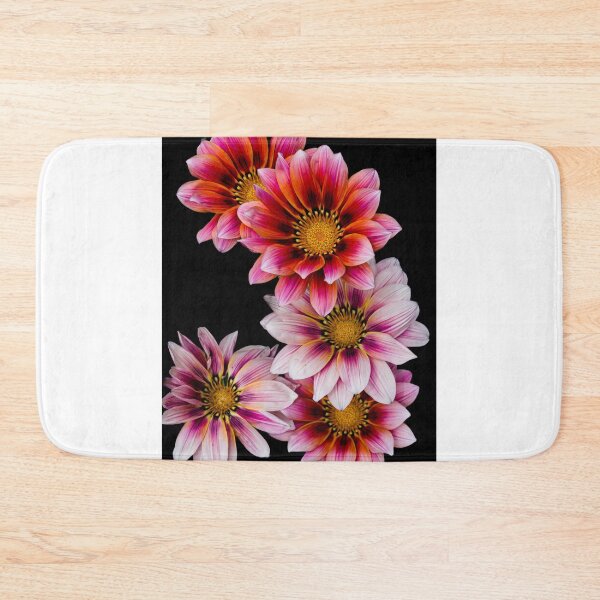 Item preview, Gazania designed and sold by Steven Weeks.