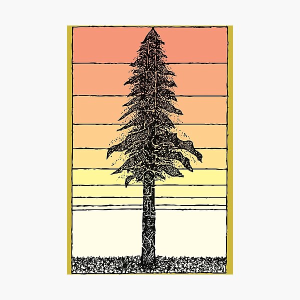 Item preview, coastal-redwood-sunset designed and sold by Wundörlund.