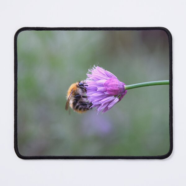 Item preview, Bee on a Chive Flower designed and sold by SJB8Art.