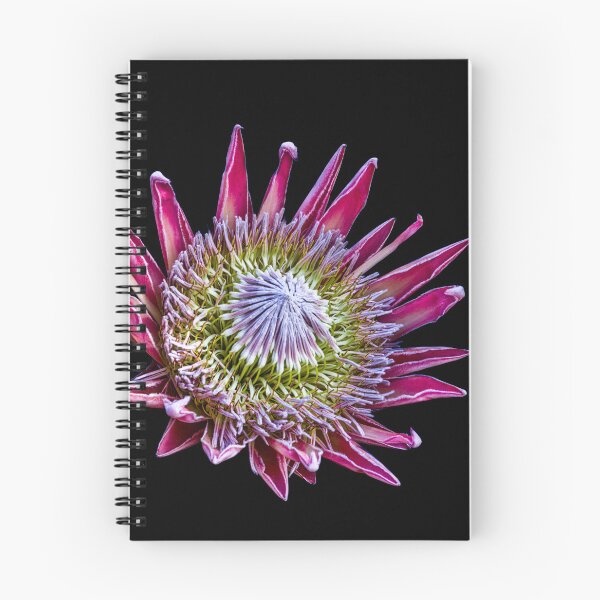 Item preview, King Protea designed and sold by Steven Weeks.