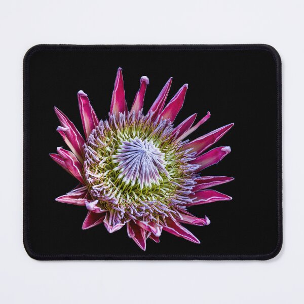 Item preview, King Protea designed and sold by Steven Weeks.