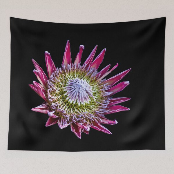 Item preview, King Protea designed and sold by Steven Weeks.