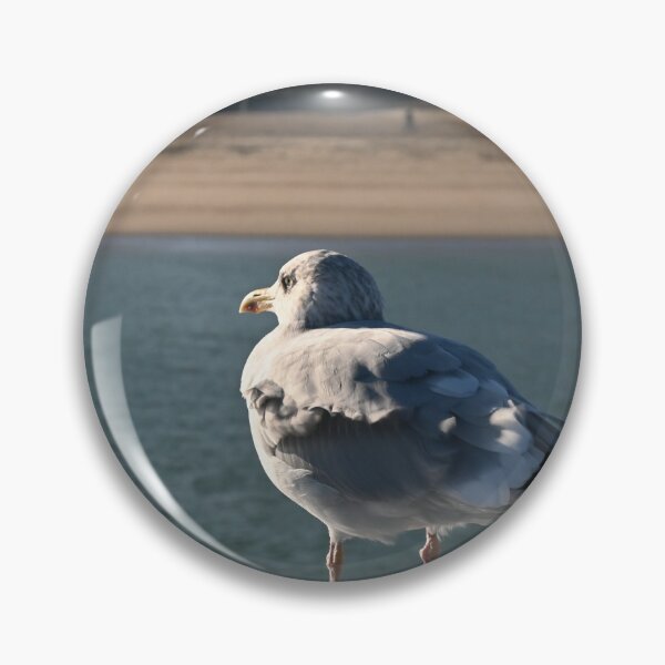Item preview, Seagull looking at Ostend Beach designed and sold by SJB8Art.