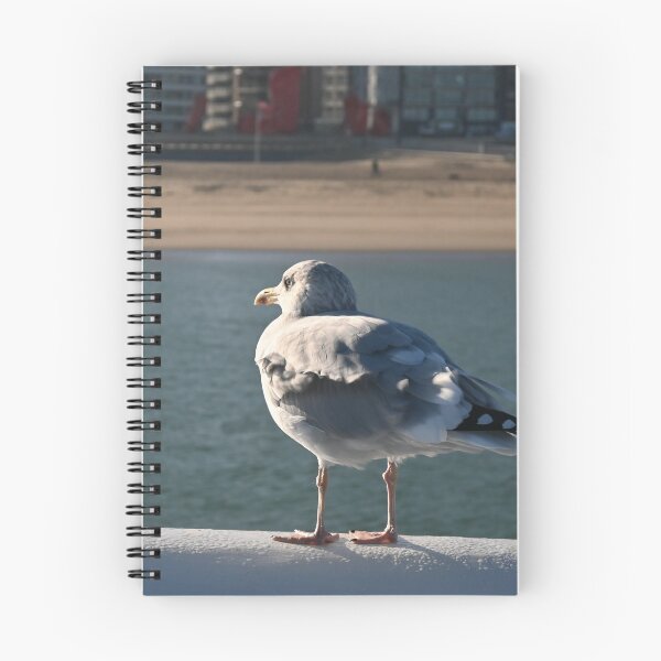 Item preview, Seagull looking at Ostend Beach designed and sold by SJB8Art.